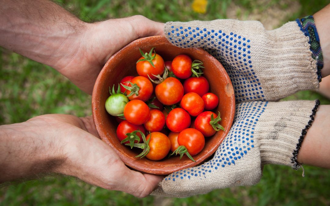 Националната кампания „Be organic!“   ще насърчава биологичното земеделие и консумацията на чиста храна
