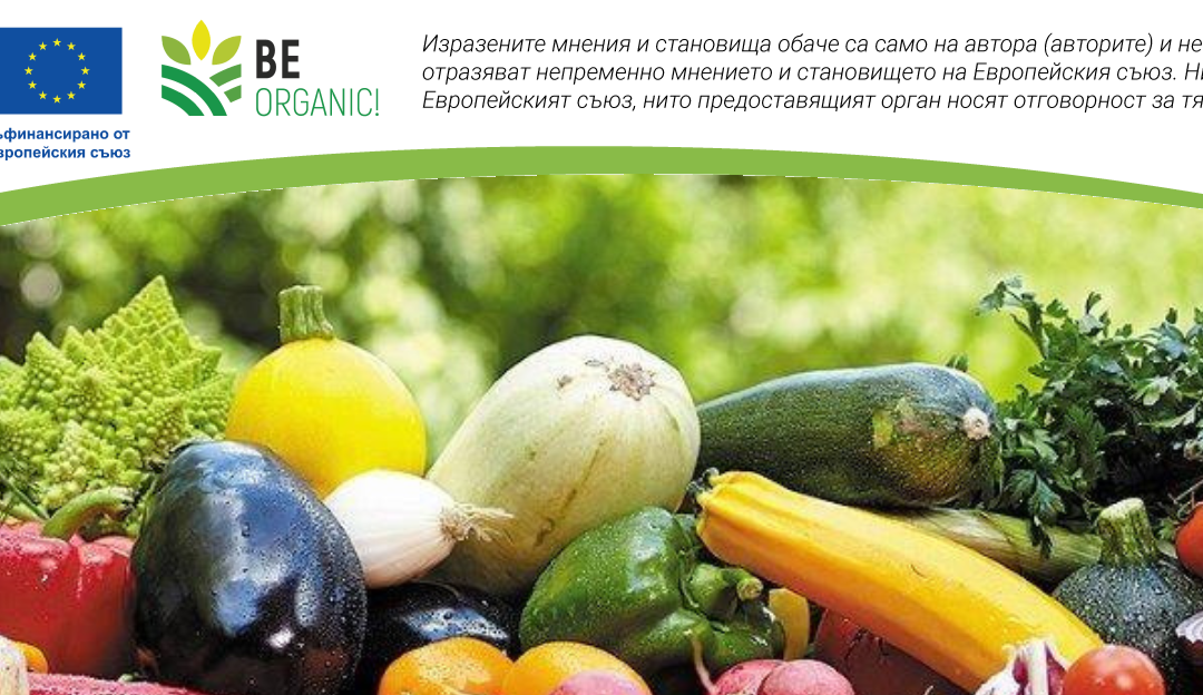 От разсада до пазара: Как се произвеждат зеленчуци по биологичен начин