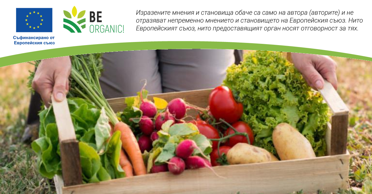 Градското земеделие има нужда от легитимация, за да се развива